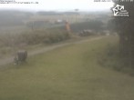 Archived image Webcam Winterberg: View from &#39;Sürenberg&#39; 19:00