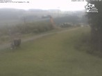 Archiv Foto Webcam Winterberg: Blick vom Sürenberg 13:00