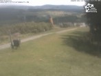Archiv Foto Webcam Winterberg: Blick vom Sürenberg 06:00