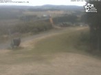 Archiv Foto Webcam Winterberg: Blick vom Sürenberg 11:00