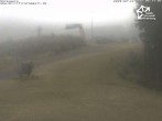 Archiv Foto Webcam Winterberg: Blick vom Sürenberg 05:00