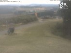Archiv Foto Webcam Winterberg: Blick vom Sürenberg 11:00