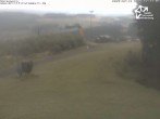 Archiv Foto Webcam Winterberg: Blick vom Sürenberg 11:00