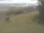 Archiv Foto Webcam Winterberg: Blick vom Sürenberg 17:00