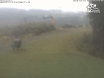 Archiv Foto Webcam Winterberg: Blick vom Sürenberg 06:00