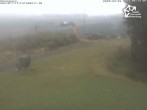 Archiv Foto Webcam Winterberg: Blick vom Sürenberg 05:00