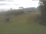 Archiv Foto Webcam Winterberg: Blick vom Sürenberg 05:00