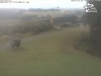 Archiv Foto Webcam Winterberg: Blick vom Sürenberg 11:00