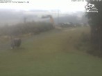 Archiv Foto Webcam Winterberg: Blick vom Sürenberg 17:00