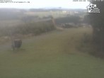 Archiv Foto Webcam Winterberg: Blick vom Sürenberg 09:00