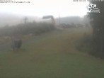 Archiv Foto Webcam Winterberg: Blick vom Sürenberg 11:00