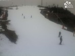 Archived image Webcam Winterberg: View Panoramabahn 11:00