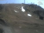 Archived image Webcam Winterberg: View Panoramabahn 11:00