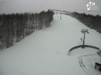 Archived image Webcam Winterberg bike area 09:00