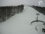 Archiv Foto Webcam Bikepark Winterberg am Erlebnisberg Kappe 11:00