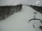 Archiv Foto Webcam Bikepark Winterberg am Erlebnisberg Kappe 13:00