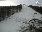 Archiv Foto Webcam Bikepark Winterberg am Erlebnisberg Kappe 11:00