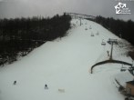 Archiv Foto Webcam Bikepark Winterberg am Erlebnisberg Kappe 11:00