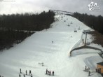 Archiv Foto Webcam Bikepark Winterberg am Erlebnisberg Kappe 11:00