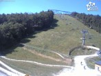 Archiv Foto Webcam Bikepark Winterberg am Erlebnisberg Kappe 11:00