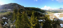 Archived image Webcam Arosa Bear Sanctuary 17:00