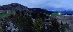 Archived image Webcam Arosa Bear Sanctuary 03:00