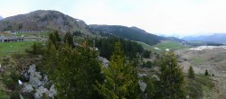Archived image Webcam Arosa Bear Sanctuary 05:00