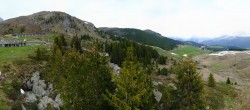 Archived image Webcam Arosa Bear Sanctuary 06:00