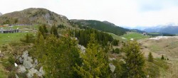 Archived image Webcam Arosa Bear Sanctuary 07:00