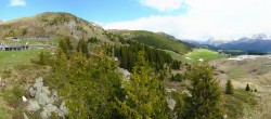 Archived image Webcam Arosa Bear Sanctuary 09:00