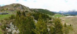 Archived image Webcam Arosa Bear Sanctuary 13:00