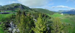 Archived image Webcam Arosa Bear Sanctuary 23:00