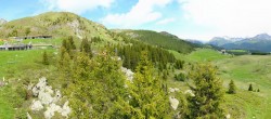 Archived image Webcam Arosa Bear Sanctuary 11:00