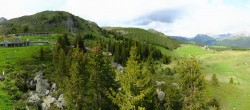 Archived image Webcam Arosa Bear Sanctuary 15:00
