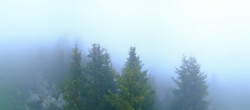 Archiv Foto Webcam Arosa Bärenland 05:00