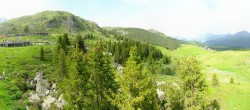 Archived image Webcam Arosa Bear Sanctuary 15:00