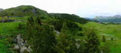 Archived image Webcam Arosa Bear Sanctuary 19:00