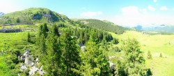 Archived image Webcam Arosa Bear Sanctuary 15:00