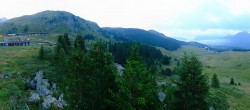 Archived image Webcam Arosa Bear Sanctuary 06:00