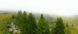 Archived image Webcam Arosa Bear Sanctuary 07:00