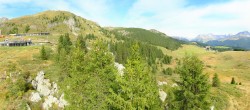 Archived image Webcam Arosa Bear Sanctuary 11:00