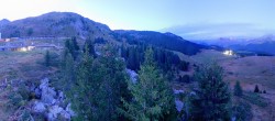 Archived image Webcam Arosa Bear Sanctuary 19:00