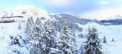 Archived image Webcam Arosa Bear Sanctuary 07:00