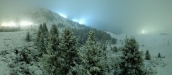 Archived image Webcam Arosa Bear Sanctuary 01:00