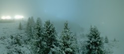 Archived image Webcam Arosa Bear Sanctuary 03:00