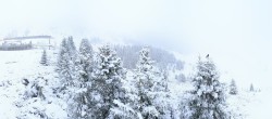 Archived image Webcam Arosa Bear Sanctuary 07:00