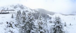 Archived image Webcam Arosa Bear Sanctuary 09:00