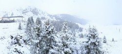 Archived image Webcam Arosa Bear Sanctuary 11:00