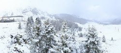 Archived image Webcam Arosa Bear Sanctuary 13:00