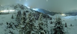 Archived image Webcam Arosa Bear Sanctuary 01:00